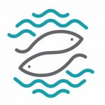 AQUANEXUS